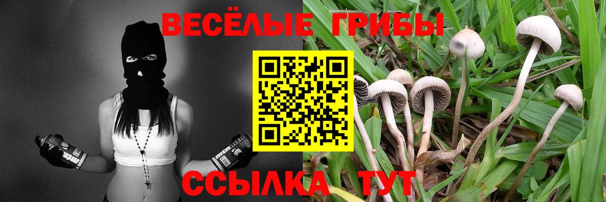 Галлюциногенные грибы GOLDEN TEACHER  Вход с VPN  закладка  Псков 
