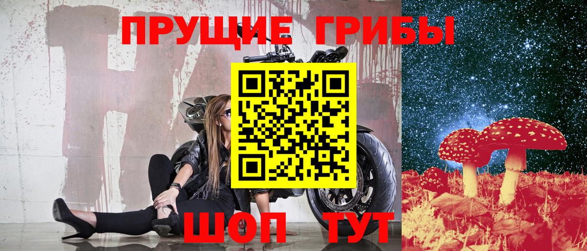 Галлюциногенные грибы Cubensis Псков